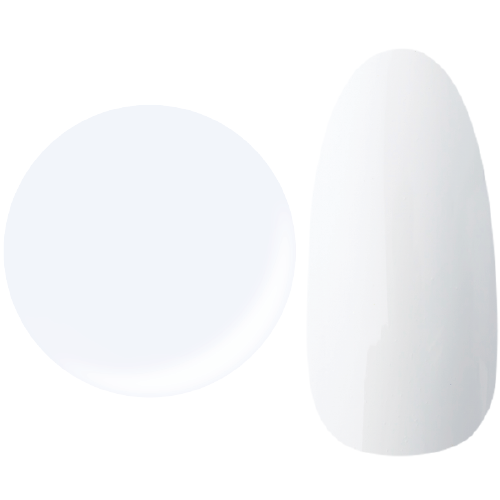 니고젤(25 GEL) 컬러젤 2.5g 001M/White